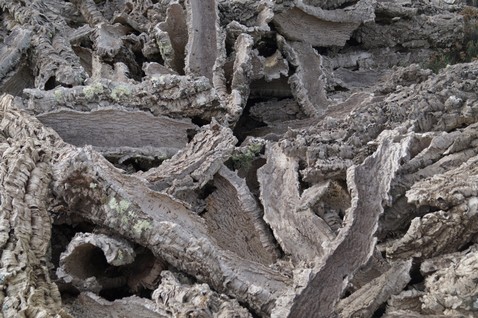 GALLURAMISTICA (2).JPG